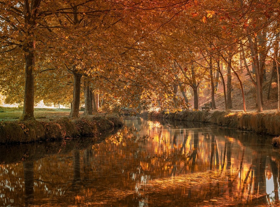 Herramientas de Análisis de Mercado