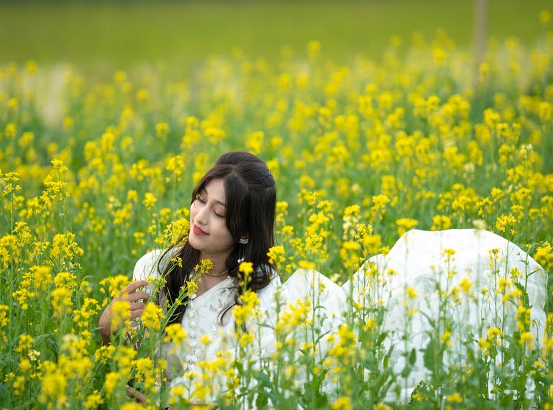 Investment Guide Discommercified