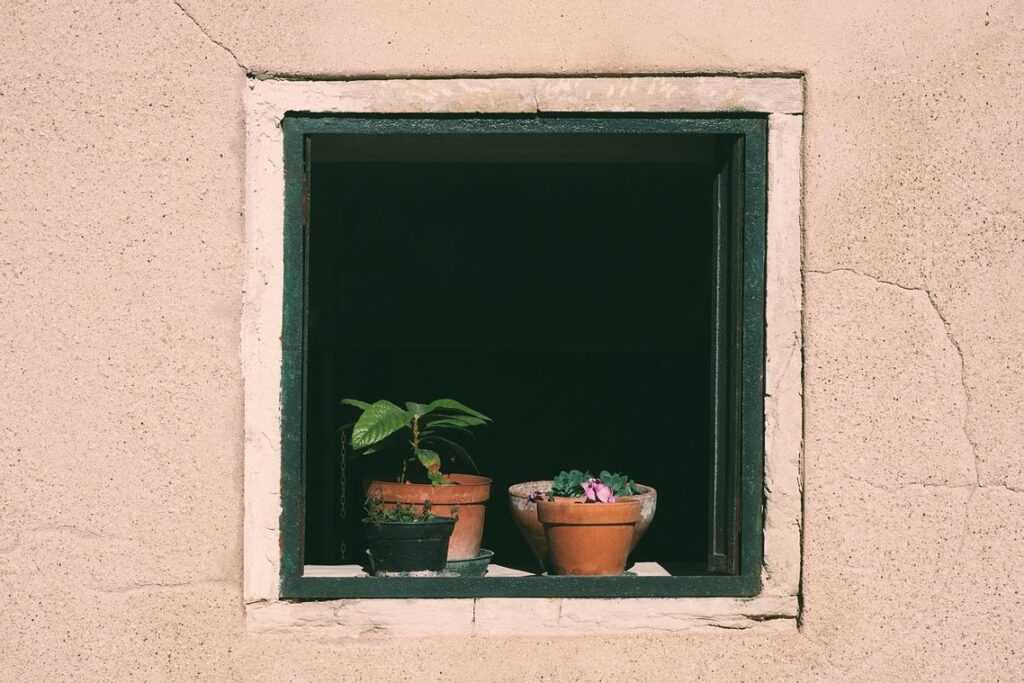 Microeconomic Insights