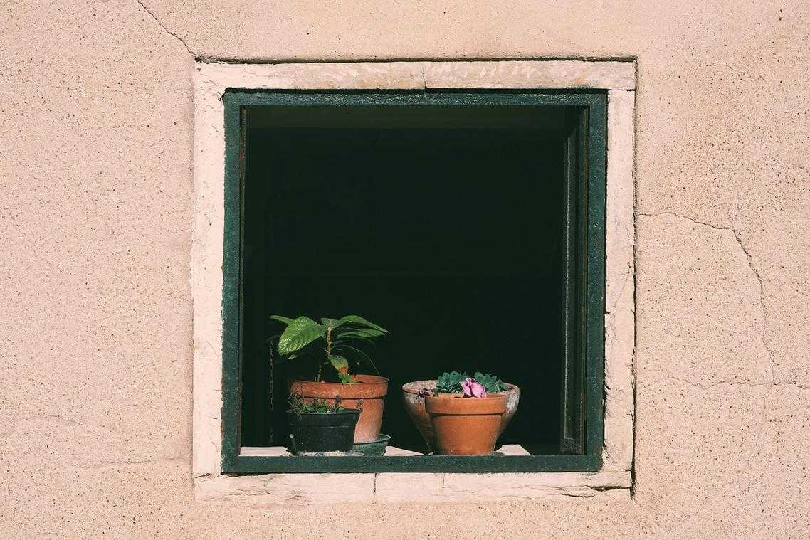 Microeconomic Insights